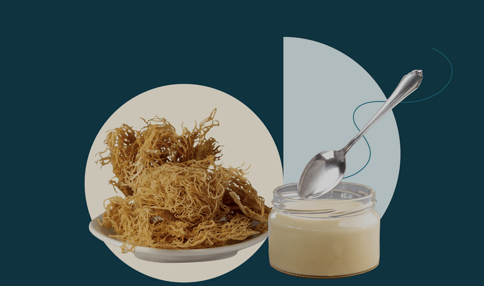 Sea Moss Gel 16oz